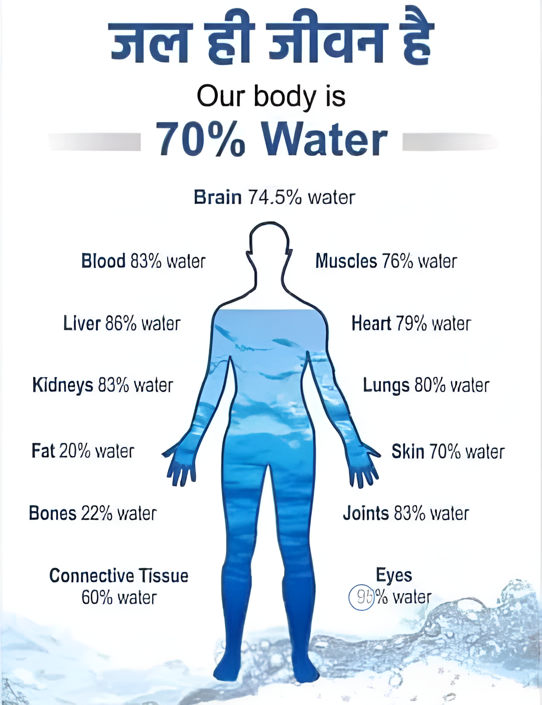 Water in Human Body